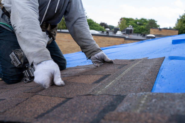 Best Solar Panel Roofing Installation  in Glasgow Village, MO